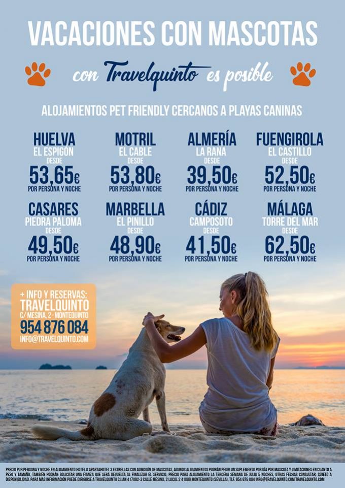 Nuestras mascotas son parte de la familia, y viajar con ellos es indispensable. Somos Agencia Pet Friendly.