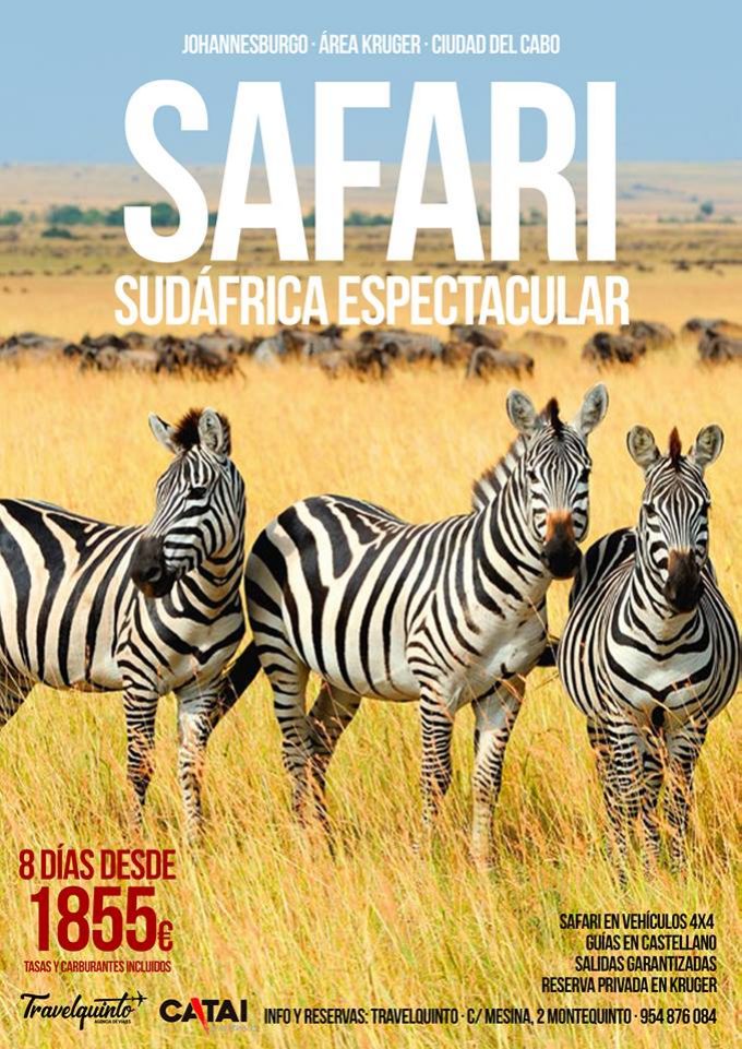 Un Safari es una experiencia única en la vida que todo el mundo debería experimentar