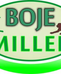 BOJE SEMILLERÍA