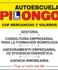 AUTOESCUELA PILONGO