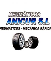 TALLER ANICUR S.L.