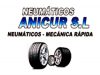 TALLER ANICUR S.L.