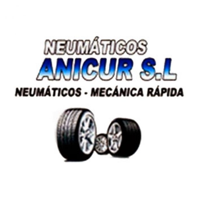 TALLER ANICUR S.L.